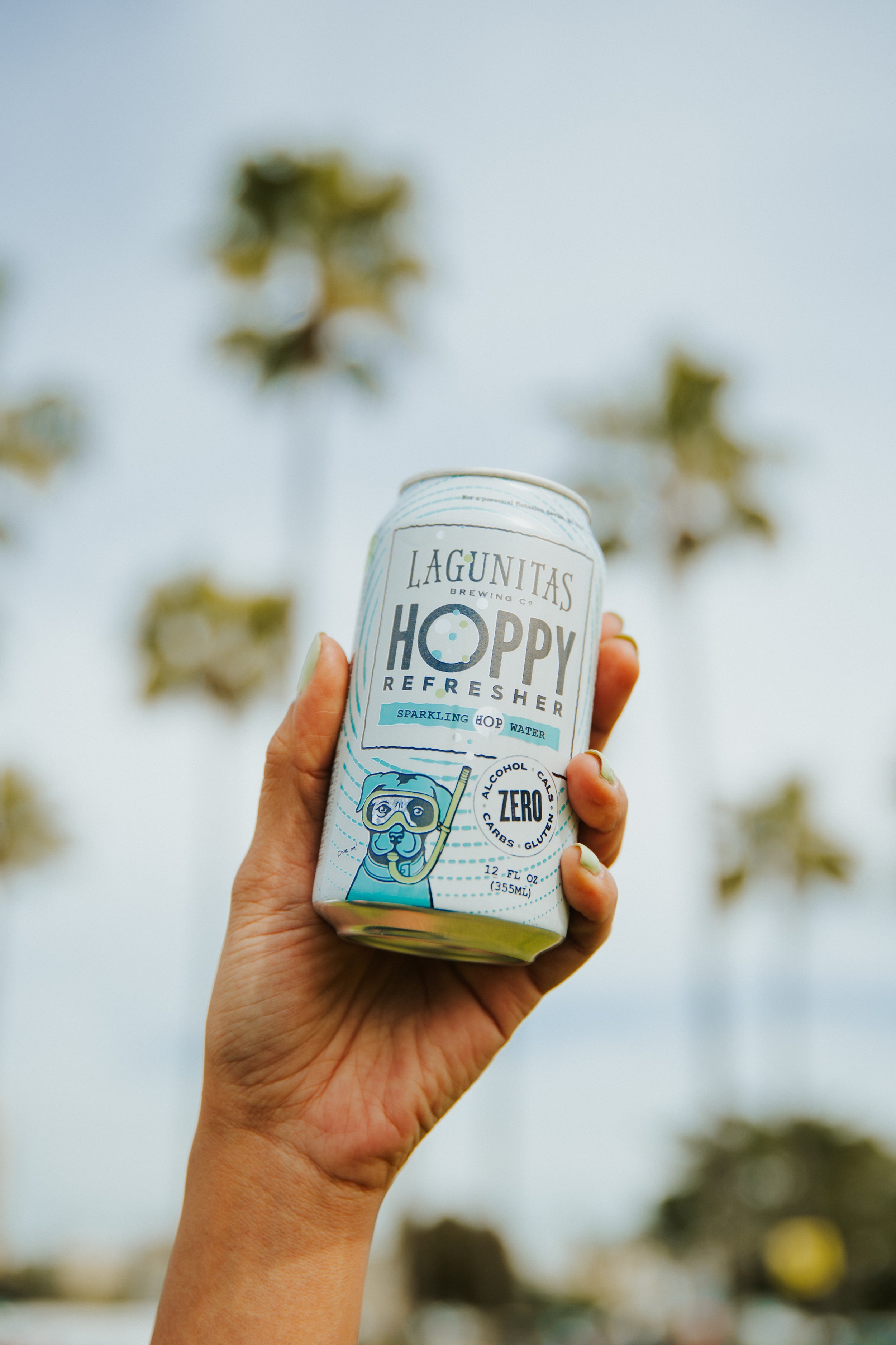 Hoppy Refresher 12-Pack — The Lagunitas Schwag Shop