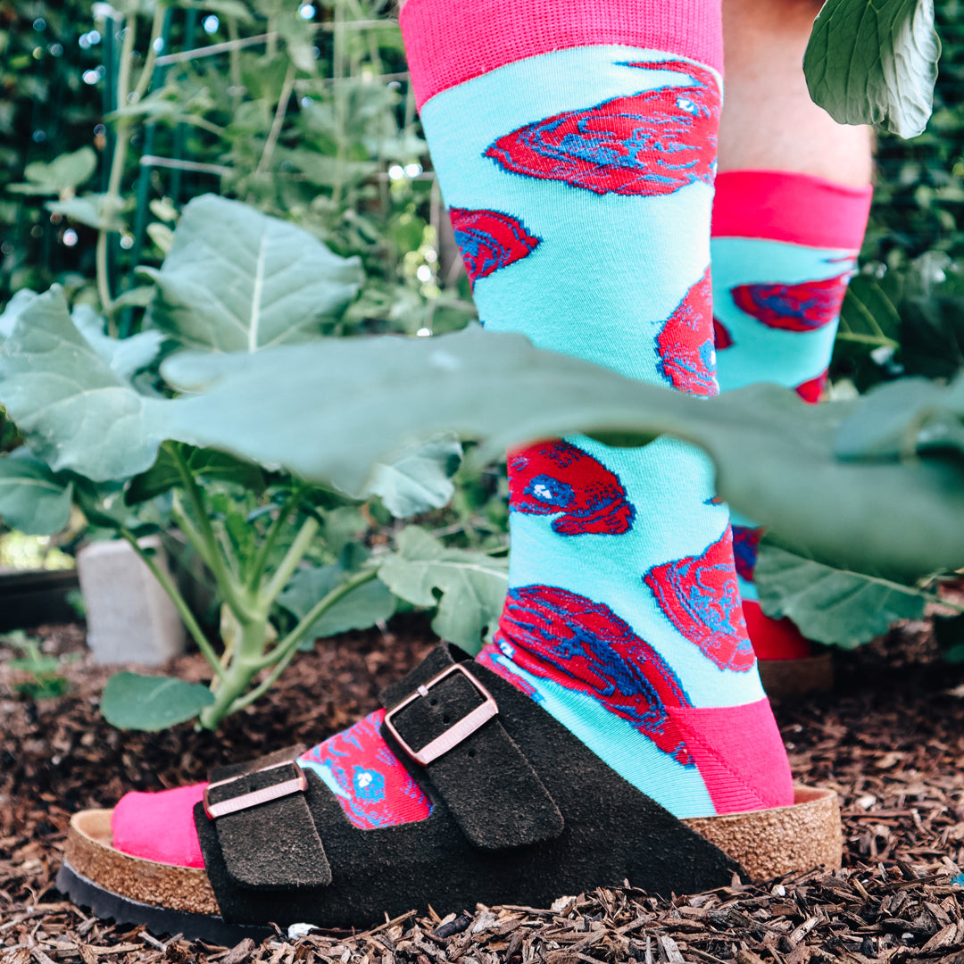 Lagunitas Dog Socks: Fun and playful dog-themed socks in vibrant pink and blue colors. These comfortable and cozy unisex socks feature a cute design that celebrates the bond between dogs and Lagunitas. Crafted with care and attention to detail, these Lagunitas branded socks make a perfect gift for dog lovers. Express your love for dogs and showcase your fashionable side with these stylish accessories. Available in unisex sizing options for a comfortable fit.